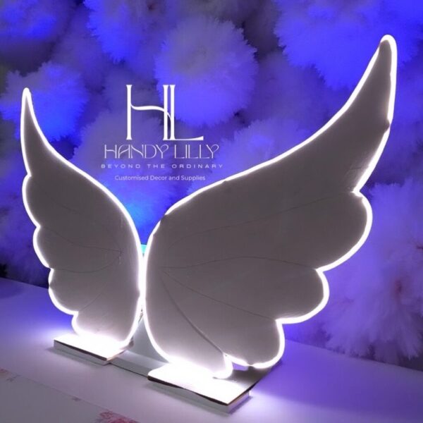 Angel Wing with light