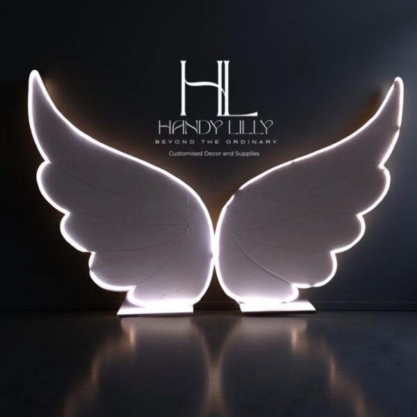 Angel Wing with light - Image 3